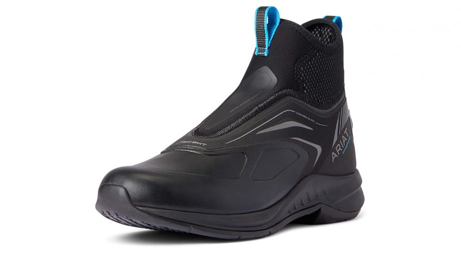 Ariat Ascent paddock boots