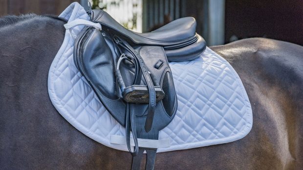 Eskadron Brilliant saddlecloth review