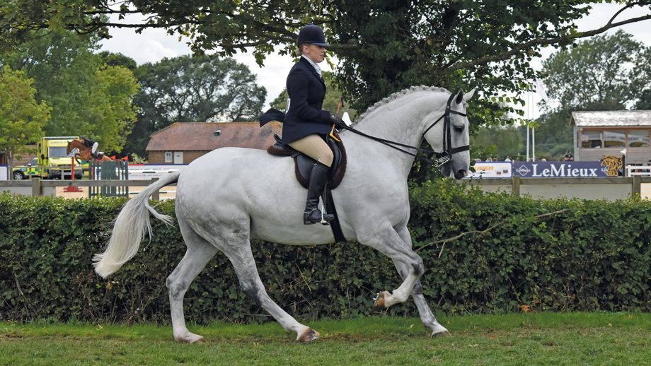 Floriann Gilston at Hickstead