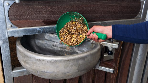 Ulrik Molgard and Henriette Andersen's Competition Yard. Furlong Farm, Nether Wescott, Oxfordshire. UK. feed basin trough food