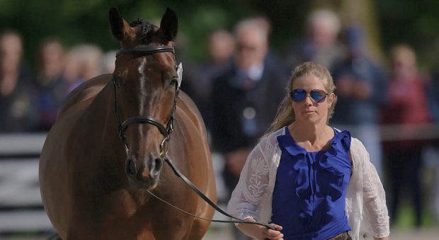 Bramham Horse Trials first trot-up: Izzy Taylor and Ringwood Madras