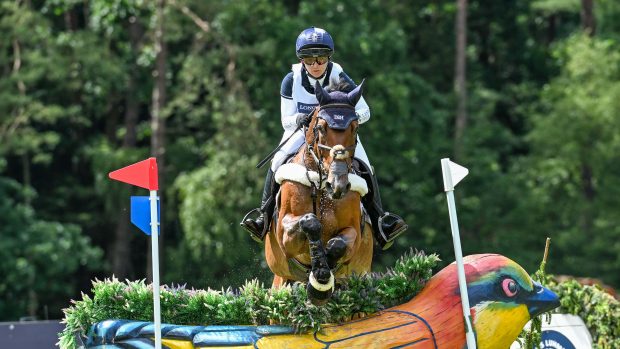 Laura Collett has withdrawn London 52 (pictured) from the final phase at Luhmühlen Horse Trials after he sustained a minor injury.