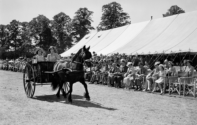 Princesses Elizabeth and Margaret drive past the King and Queen in the War Time Utility Single Driving Class at the Windsor Horse Show.