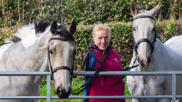 Philippa Verry at home with her horses Melitta and Stilton