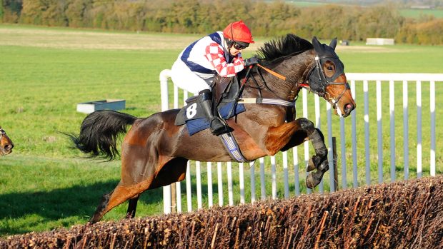 Southfield Lily and Lily Bradstock at the Portman Hunt point-to-point in November 2022
