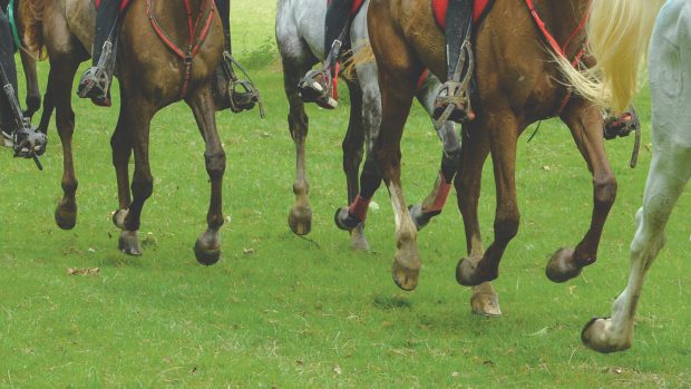 Bids are in for the rescheduled 2022 endurance World Championships