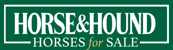 Horse & Hound Horses for Sale logo